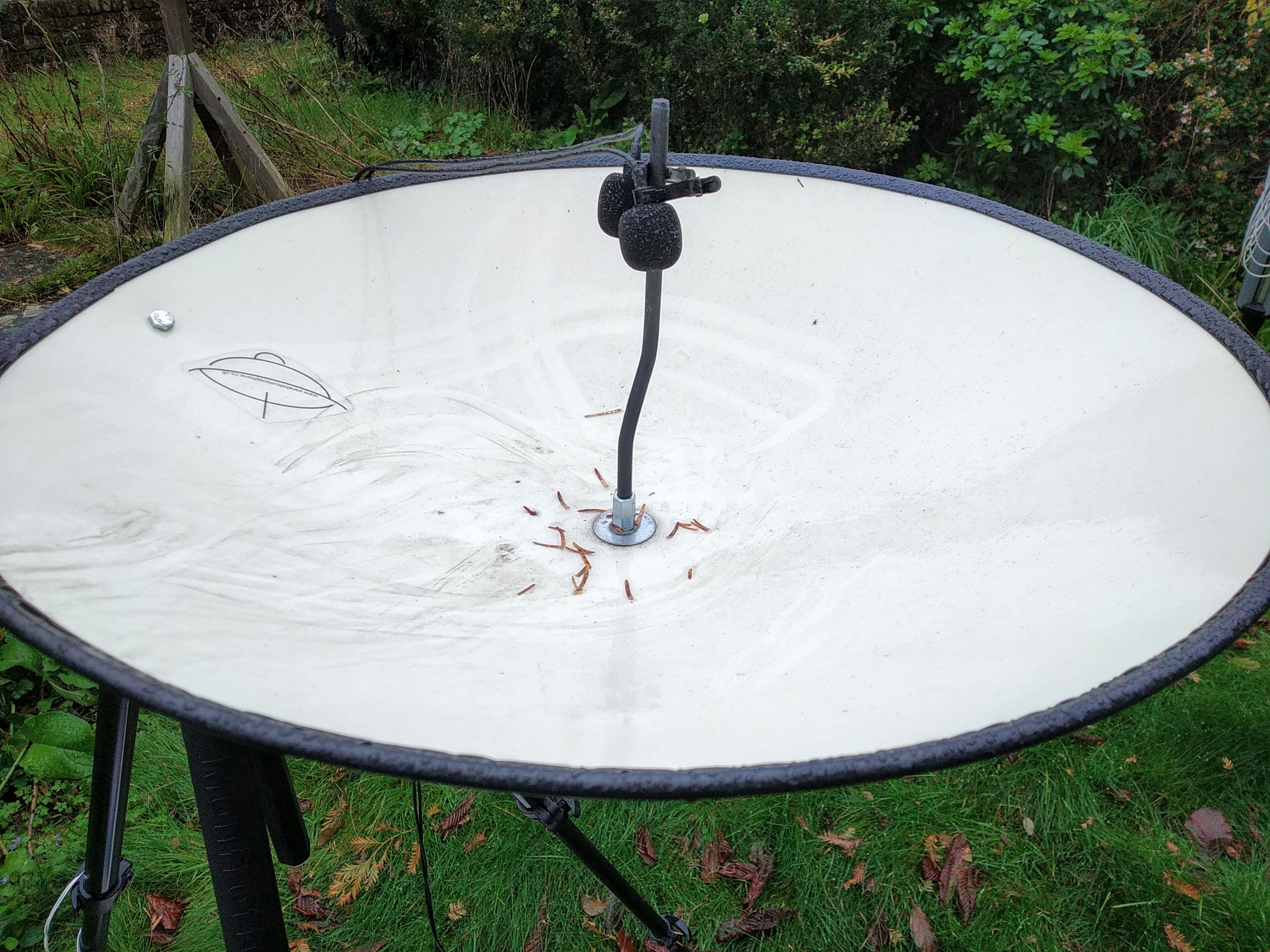 Parabolic dish with two microphones